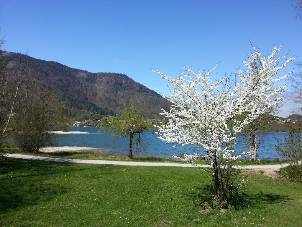 Buchauer-Tirol / Landhaus Buchauer Thiersee Ngoại thất bức ảnh